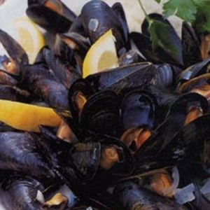 Steamed Mussels