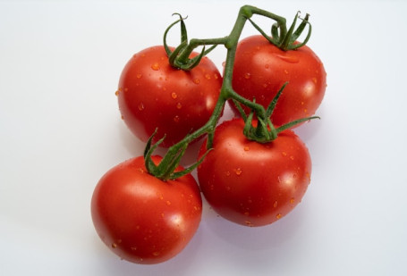 Tomatoes