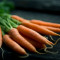 Carrots