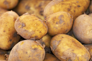 Potato Chips
