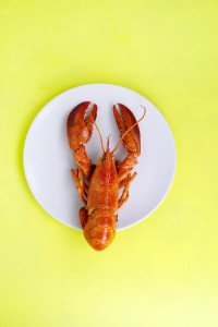 Lobster