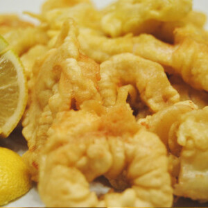 Squid