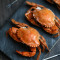 Soft Shell Crab