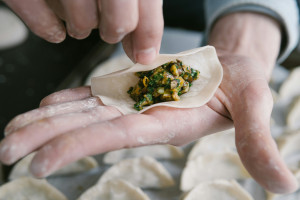 Gyoza