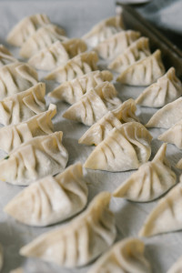 Gyoza