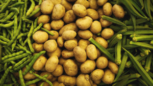 Potato Skins