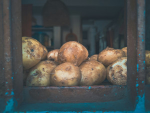 Potato Skins