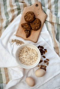 Oatmeal Raisin