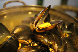 Mussels