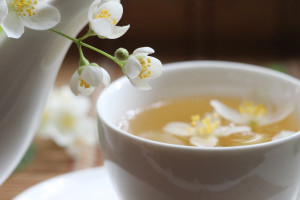 Fresh Brewed Iced Tea