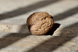 White Chip Macadamia Nut