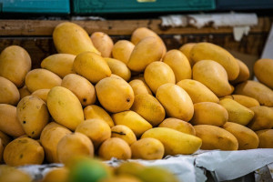 Mango Smoothie