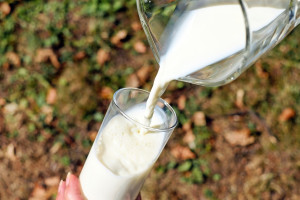 1% Milk