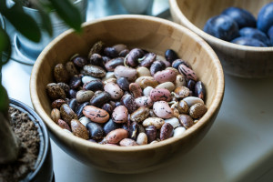 Pinto Beans