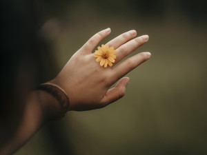 Pastry Ring