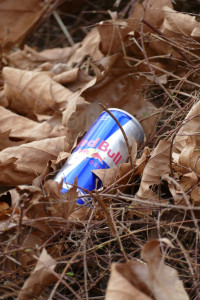 Red Bull Energy Drink