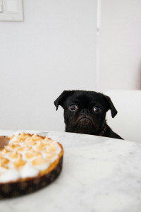 Lemon Meringue Pie