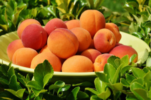 Fruit Bowl