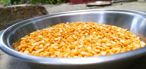 Dal Makhani