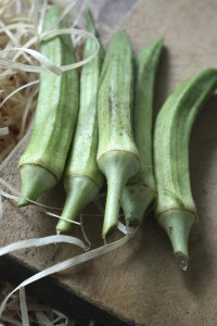 Fried Okra