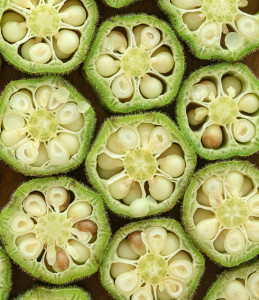 Fried Okra