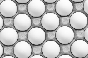 Egg Sandwich