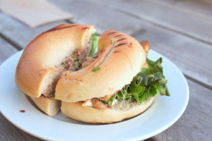 Plain Bagel