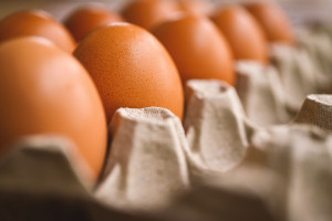 Egg Salad
