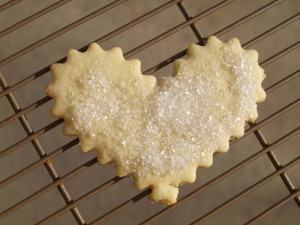 Sugar Cookie