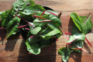 Green Salad