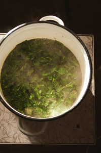 Manchow Soup