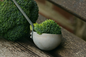 Broccoli Beef