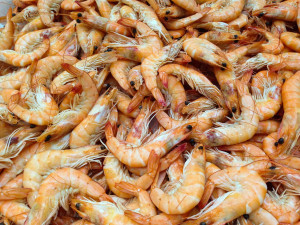 Tandoori Shrimp