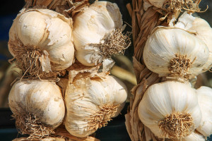Parmesan Garlic