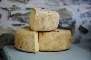 Cheese Breadsticks