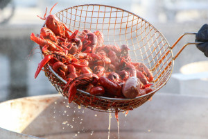 Crawfish