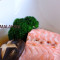 Norwegian Salmon