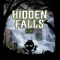 Hidden Falls Ipa