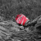 Coca Cola 0.45L