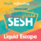 Liquid Escape Lemongrass Summer Ale