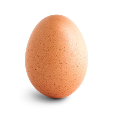 Egg (1)