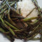 Dry Sauteed String Beans