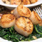 Scallops