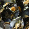 Mussels Mariniere