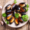 Mussel