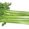 All Celery