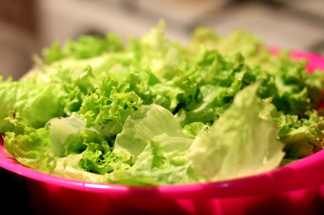 Bibb Lettuce Salad