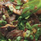 Beef With Snow Pea