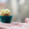 Carrot Cupcake