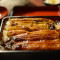 Unagi Eel